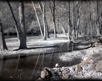 Handmade blank greeting card "Along the Brandywine" featuring original infrared photography by Beth Trepper