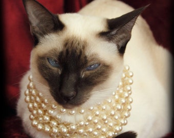 Handmade blank greeting card "Coco with Pearls" featuring original photography by Beth Trepper