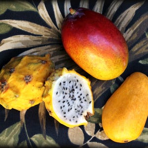 May include: An overhead shot of tropical fruits, including a red and yellow mango, a yellow dragon fruit, and a smaller yellow mango. The dragon fruit is cut open, revealing white flesh and black seeds.