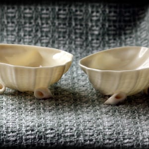 May include: Two cream-colored, shell-shaped ceramic bowls with scalloped edges and three small, curled feet. The bowls are set on a textured, gray surface, and are empty.