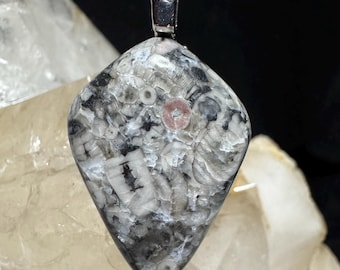 Crinoid Fossil Pendant: Starfish Sea Urchin Stone, Stainless Steel Bail