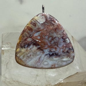 Palm Root Stone Agate - Petrified Palm Root, Unisex Gift, Handmade in the USA