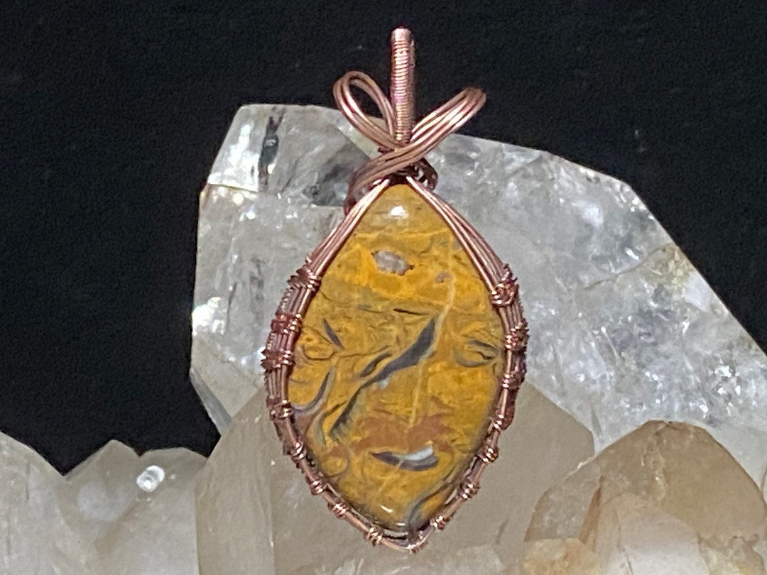 Fossil Clam Chowder Pendant Necklace Fossilized Clam Shells Etsy