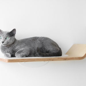Floating Cat Shelves Minimalist Modern Cat Furniture Cat Bridge Set Cat Perch for Play, Cat Lounge & Sleep Wall-Mounted Shelves image 5