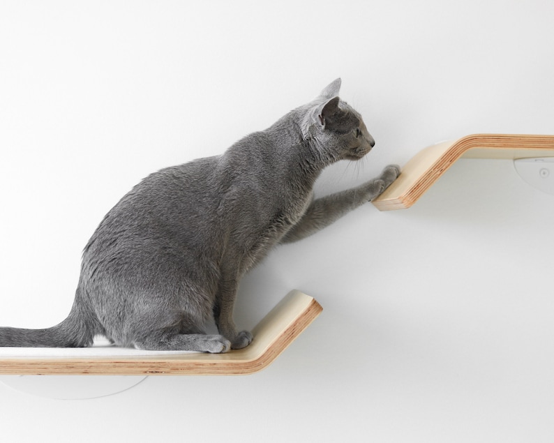 Floating Cat Shelves Minimalist Modern Cat Furniture Cat Bridge Set Cat Perch for Play, Cat Lounge & Sleep Wall-Mounted Shelves image 2