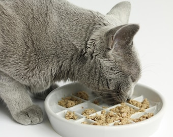 Ceramic Slow Feeder for Cats: Whisker Friendly, Anti-Vomit Puzzle Feeder, Aesthetic Cat Bowl