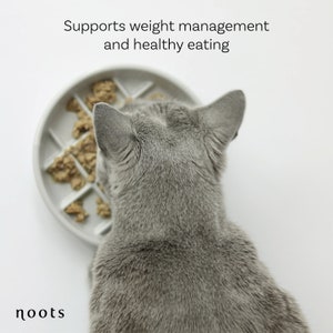 slow feedbowl supports weight management and healthy eating