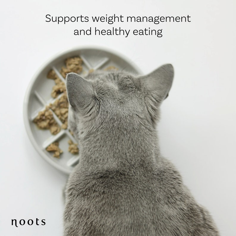 slow feedbowl supports weight management and healthy eating