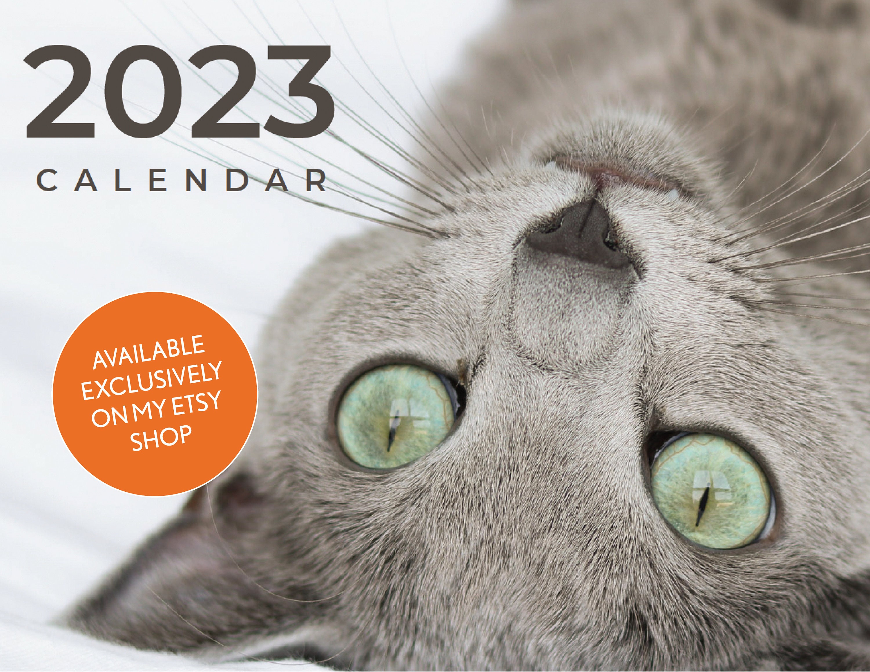 CAT CALENDAR 2023 Cute Cat Calendar With Russian Blue Cat Etsy
