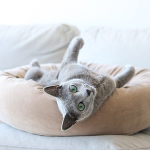 soft cushioned cat bed