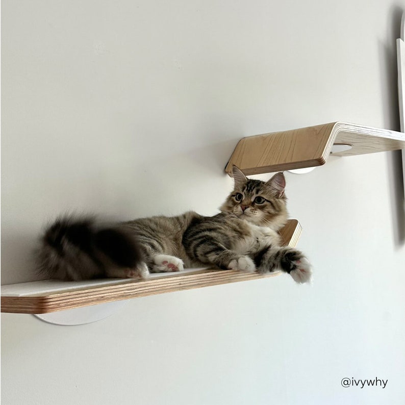 Floating Cat Shelves Minimalist Modern Cat Furniture Cat Bridge Set Cat Perch for Play, Cat Lounge & Sleep Wall-Mounted Shelves image 7