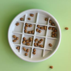 May include: A white ceramic dish with 16 compartments, filled with small brown food pellets. The dish is on a light green surface.