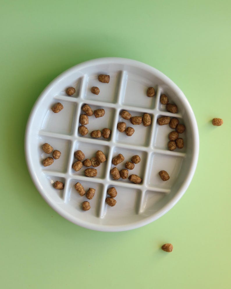 May include: A white ceramic dish with 16 compartments, filled with small brown food pellets. The dish is on a light green surface.