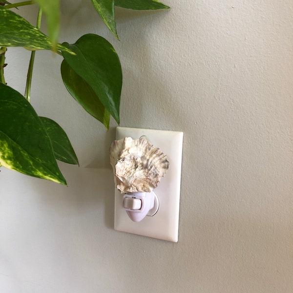 Luz de noche con forma de concha de ostra