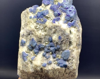 アフガニスタン産 ラズライト結晶 ラズライト結晶標本：インクブルーと金色の黄鉄鉱 - アフガニスタン