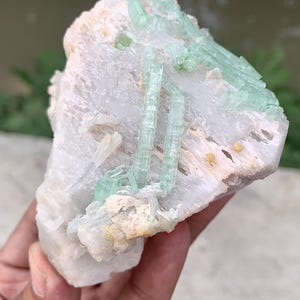 May include: A raw mineral specimen featuring translucent, pale green, elongated prismatic crystals embedded within a rough, opaque white quartz matrix. The crystal structure shows distinct vertical striations and a glassy, reflective surface texture.