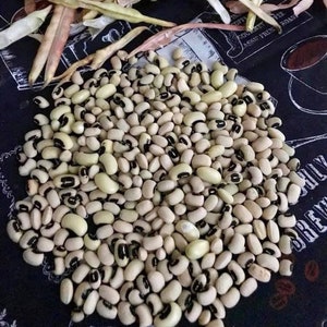 Blackeye Pea Bush Bean Seeds (California)