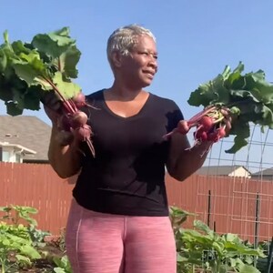 Bulls Blood Beet Heirloom Seeds