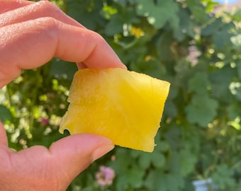 Moon and Stars Yellow Flesh Watermelon Seeds - Heirloom