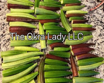 Okra Seeds - Rainbow Pack