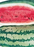 Georgia Rattlesnake Watermelon Seeds Heirloom