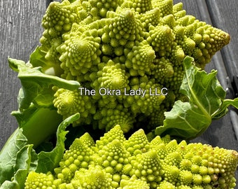 Romanesco Broccoli Seeds Organic