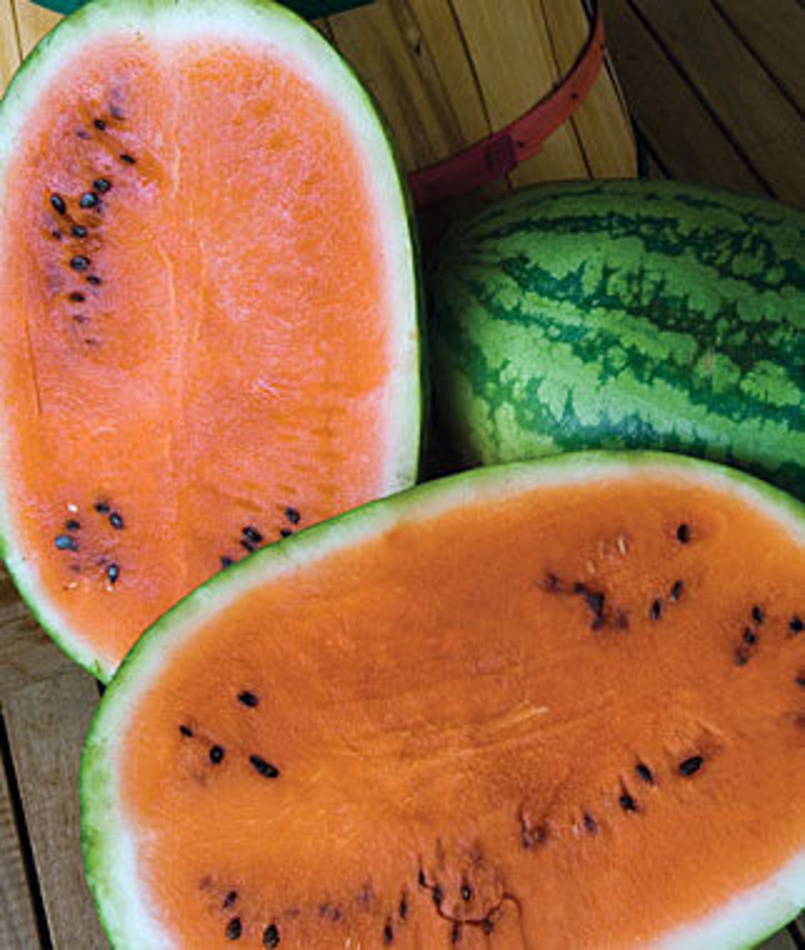 Tendersweet Orange Watermelon Seeds Heirloom Etsy