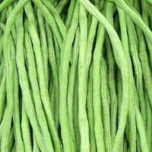 May include: A bunch of long, thin, green string beans.