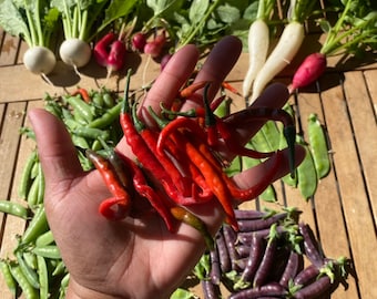 Cayenne Pepper Seeds