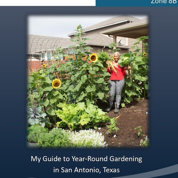 My Guide to Year-Round Gardening in San Antonio, Texas