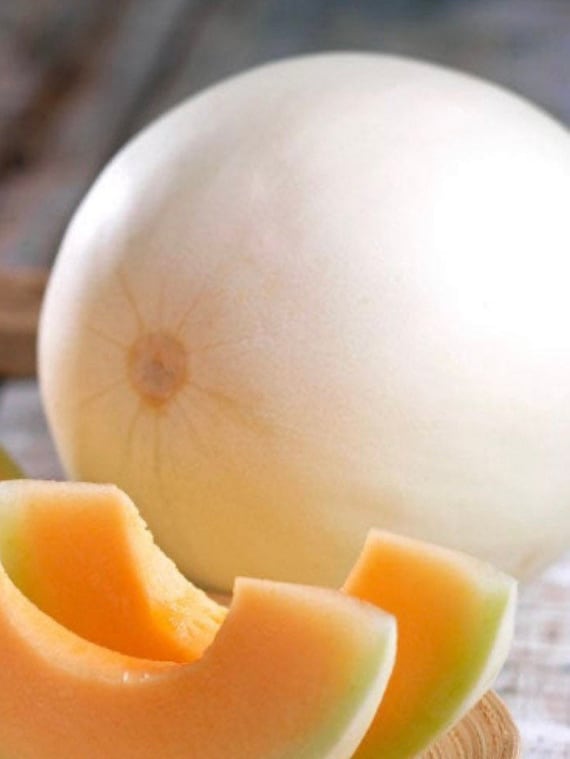 Orange Flesh Honeydew Melon