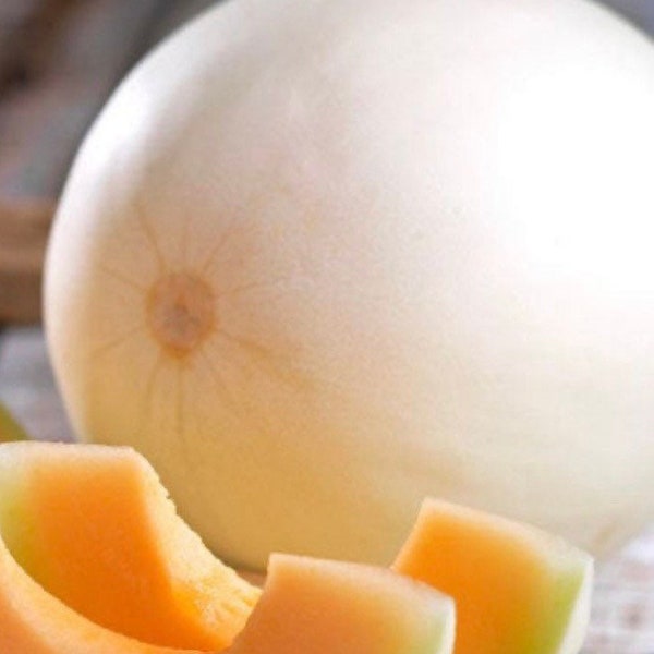 Honeydew Melon Seeds - Orange Flesh