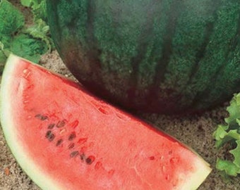 May include: A slice of watermelon with red flesh and black seeds, next to a whole watermelon with a dark green rind.