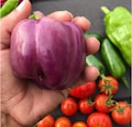 Lilac Sweet Bell Pepper Seeds