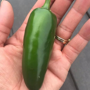 Jalapeno Pepper Seeds