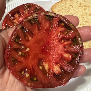 Paul Robeson Tomato Seeds