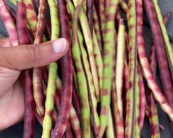 Purple Hull Pinkeye Pea Seeds