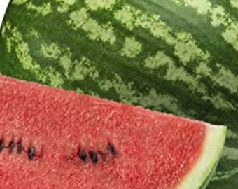 Crimson Sweet Watermelon Seeds