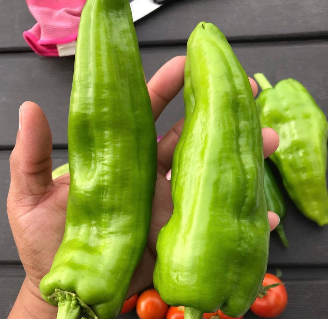 Big Jim Hot Pepper Seeds Etsy