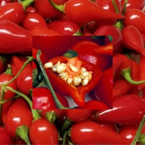 Biquinho Red Pepper Seeds