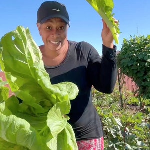 Puede incluir: Una persona con un sombrero negro y una camisa negra con pantalones de estampado rojo y blanco sostiene una gran verdura verde de hoja.