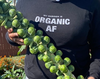 Brussels Sprouts Seeds - Heirloom