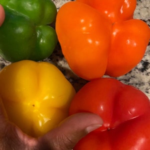 Rainbow Sweet Bell Pepper Seeds