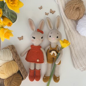 Bunny knuffel, schattig konijntje amigurumi, gehaakt konijn meisje jongen, katoen gevuld dier cadeau, peuter cadeau, gehaakt speelgoed voor een pasgeboren baby Bunny boy