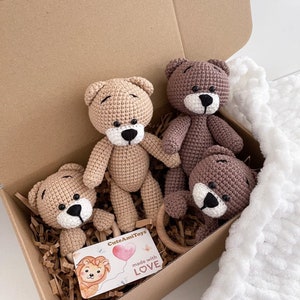 Сrochet Teddybär und Rassel, personalisierter Teddybär Plüsch, Teddybär mit Namen, Babypartygeschenk, Neugeborenen Requisiten, neue Mutter, Schwangerschaftsgeschenk