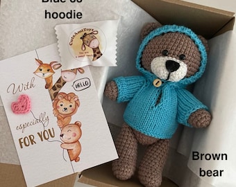 Personalized Teddy Bear in a hoodie, Crochet bear with name, Teddy bear baby shower, Newborn photo props, New baby bear