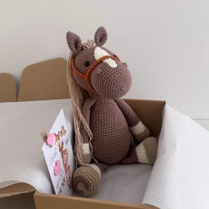 Könnte beinhalten: Gehäkeltes Pferd in einem Karton. Das Pferd ist braun mit einem weißen Stern, einer hellbraunen Mähne und einem braunen Zaumzeug. Die Puppe hat beige und weiß gestreifte Beine und liegt neben einer Grußkarte.