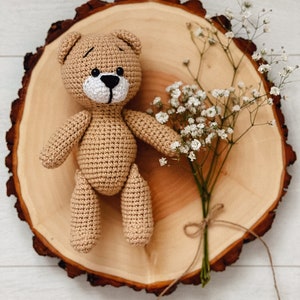 Personalized crochet Teddy Bear, Brown gray bear miniature, Stuffed crochet animals, Teddy Bear baby shower, Newborn props gift image 3