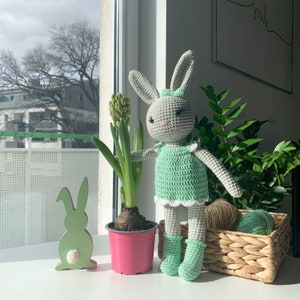 Bunny knuffel, schattig konijntje amigurumi, gehaakt konijn meisje jongen, katoen gevuld dier cadeau, peuter cadeau, gehaakt speelgoed voor een pasgeboren baby afbeelding 3