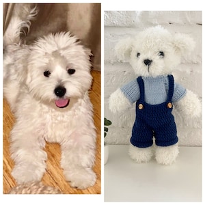 Custom stuffed dog, Plush from pet photo, Crochet custom pet , Dog memorial gift